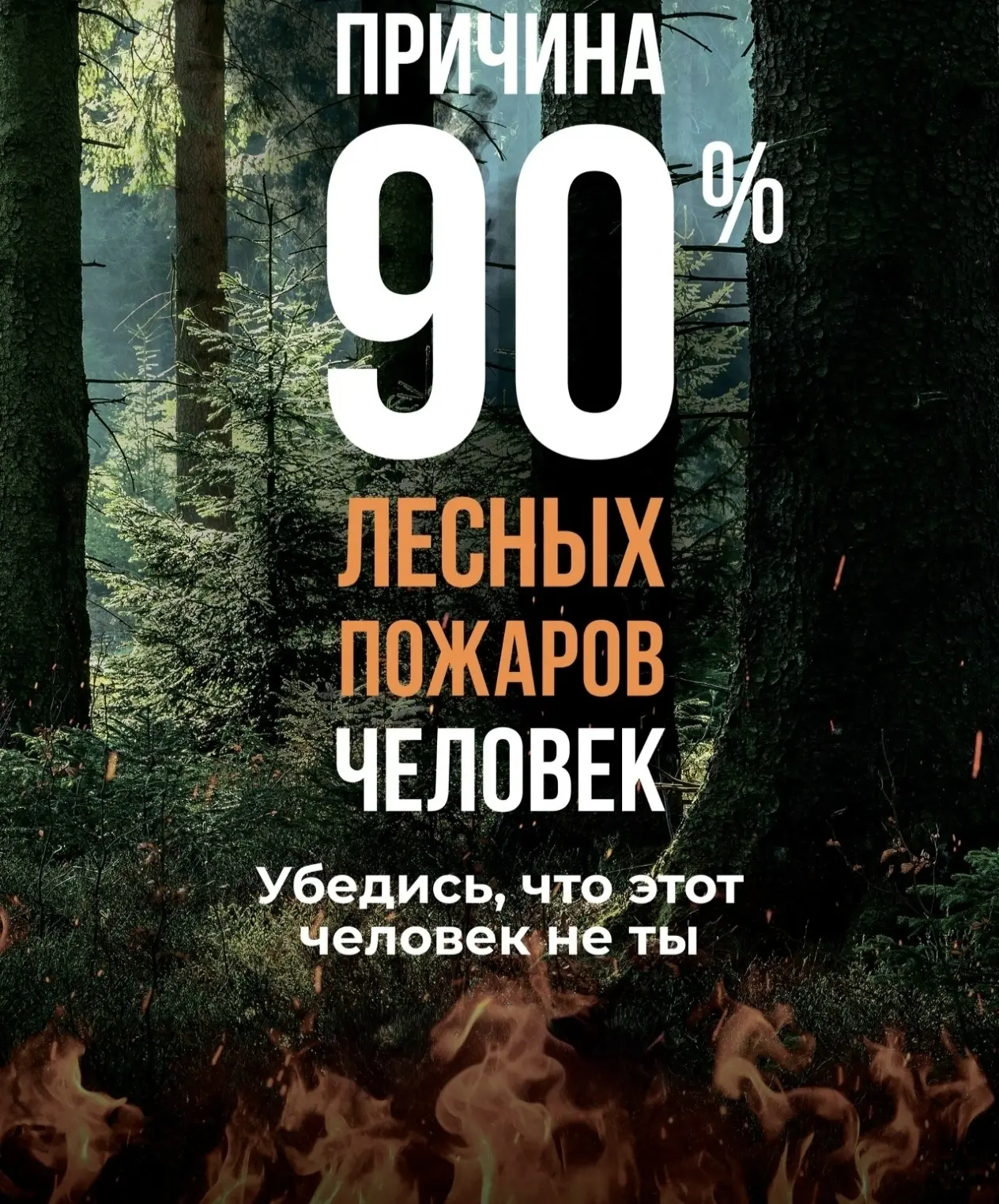 Главная причина лесных пожаров - человек!